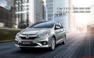 Taxi Sai Gon (18)